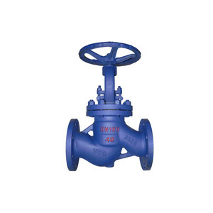 Plug Disc Globe Valve